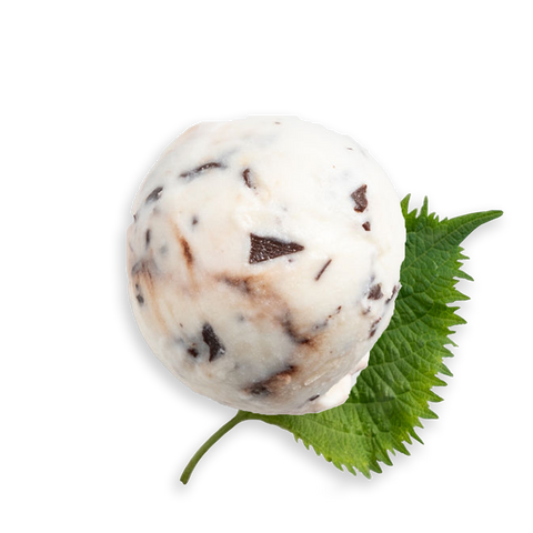 SHISO MINT CHIP